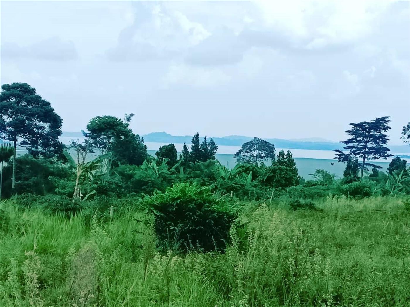 Residential land for sale in Katosi Mukono Uganda