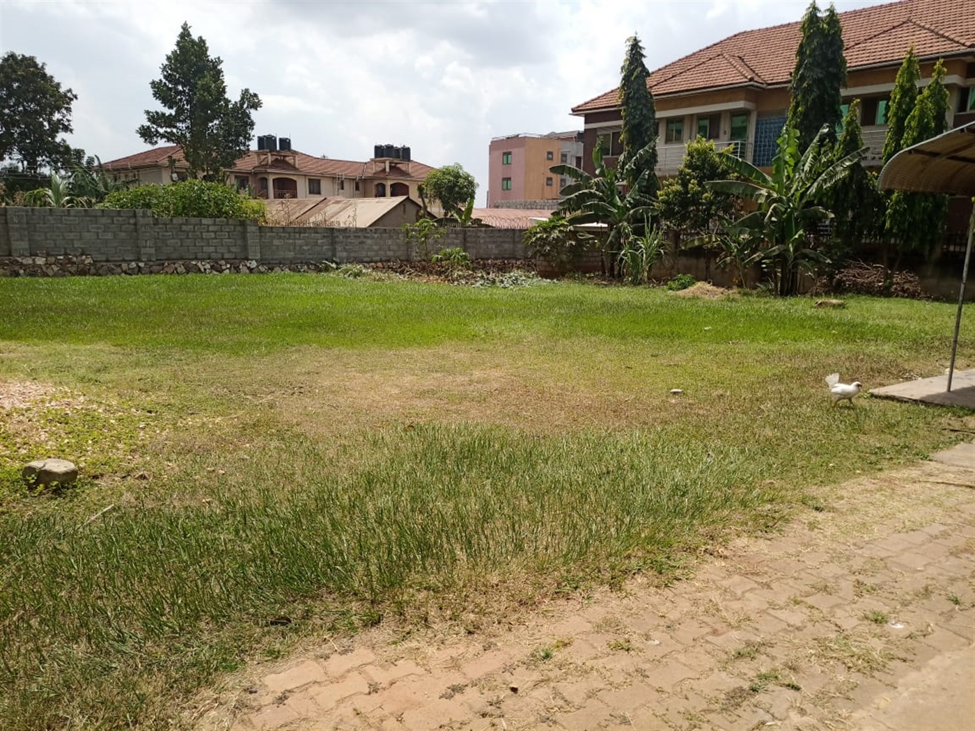 Residential land for sale in Kiwaatule Kampala Uganda