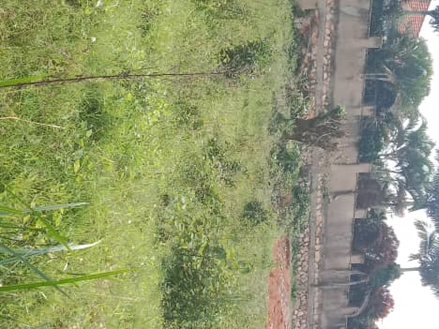 Residential land for sale in Kiwaatule Kampala Uganda