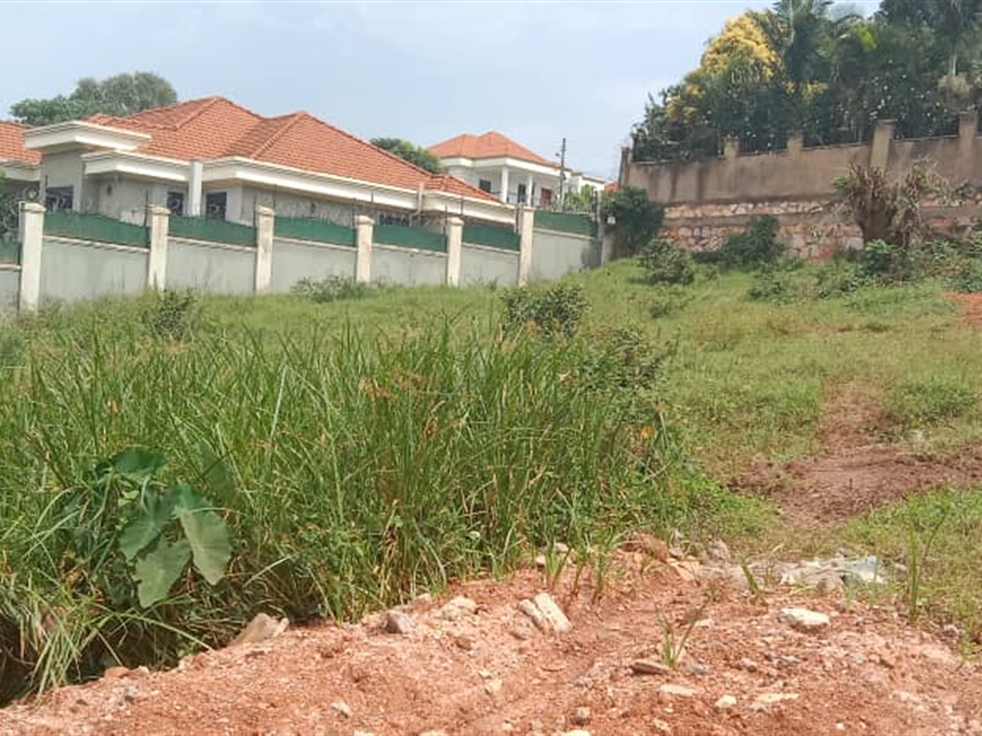 Residential land for sale in Kiwaatule Kampala Uganda
