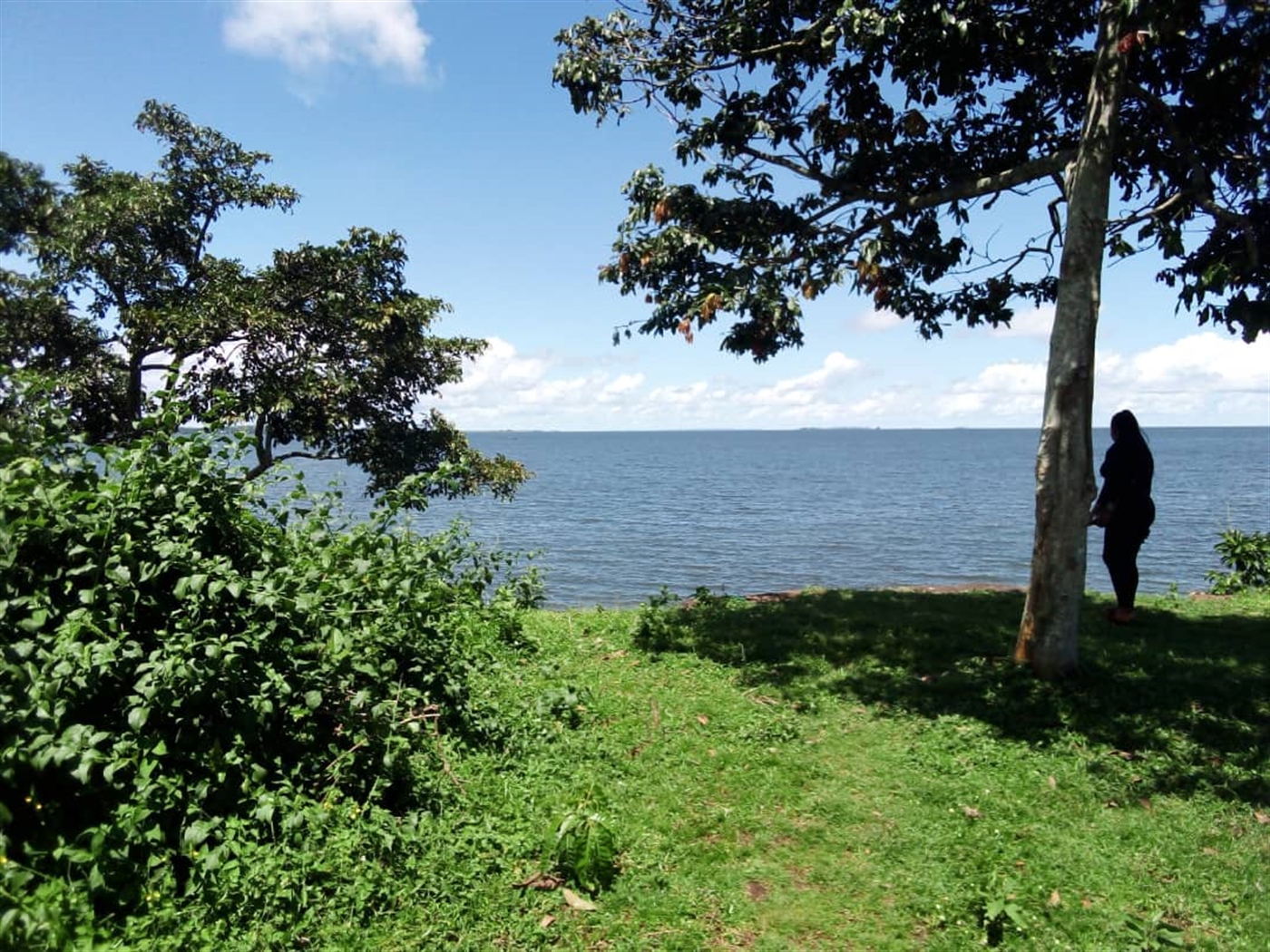 Residential land for sale in Kasanjje Wakiso Uganda