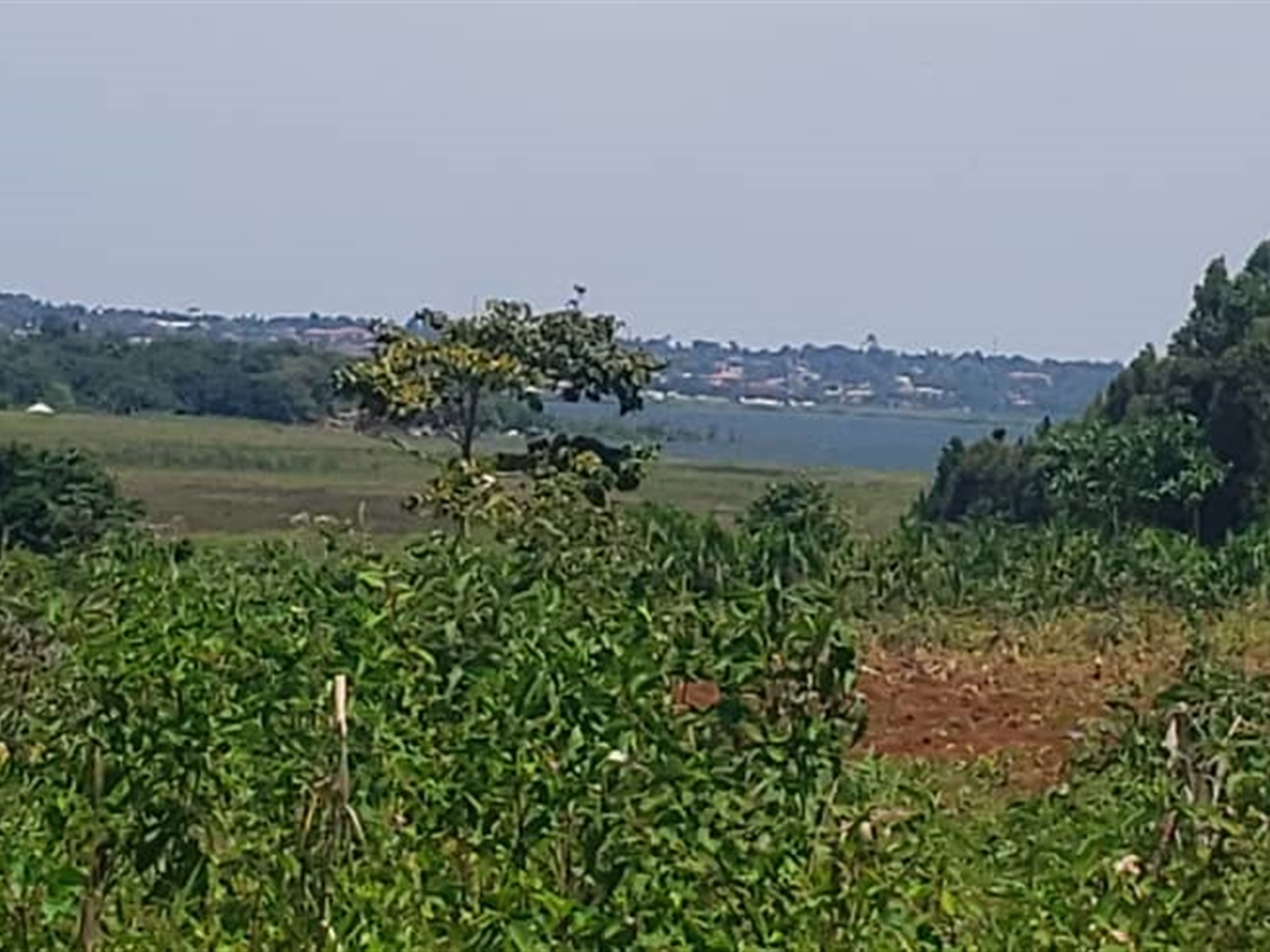 Residential land for sale in Kasanjje Wakiso Uganda