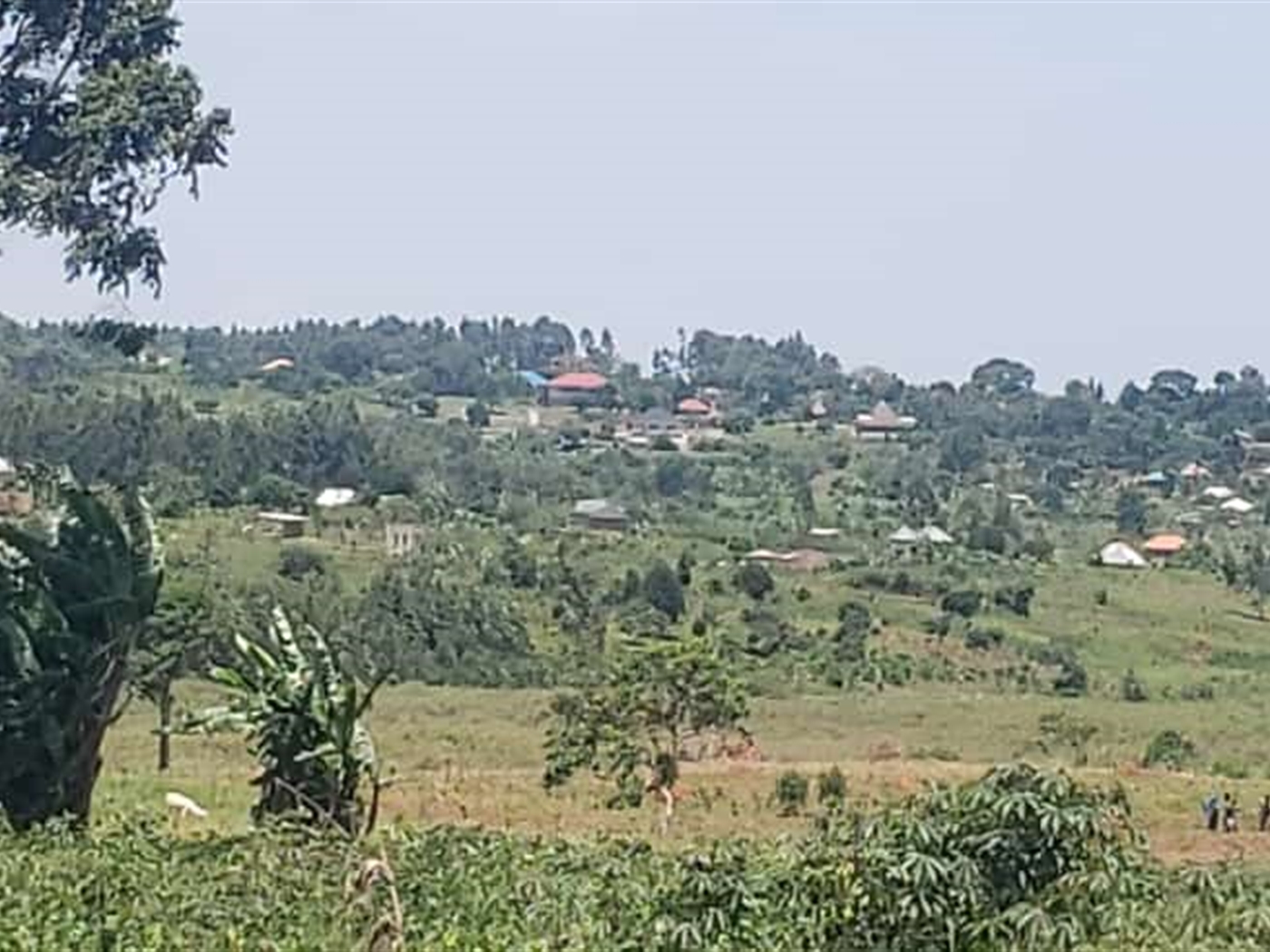 Residential land for sale in Kasanjje Wakiso Uganda