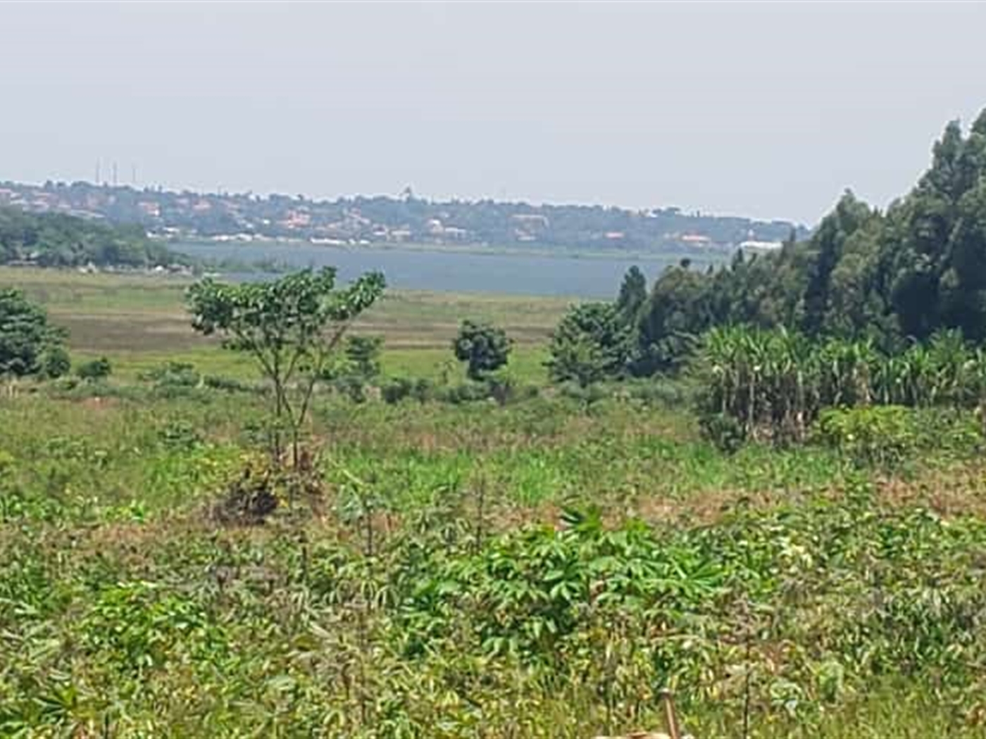 Residential land for sale in Kasanjje Wakiso Uganda