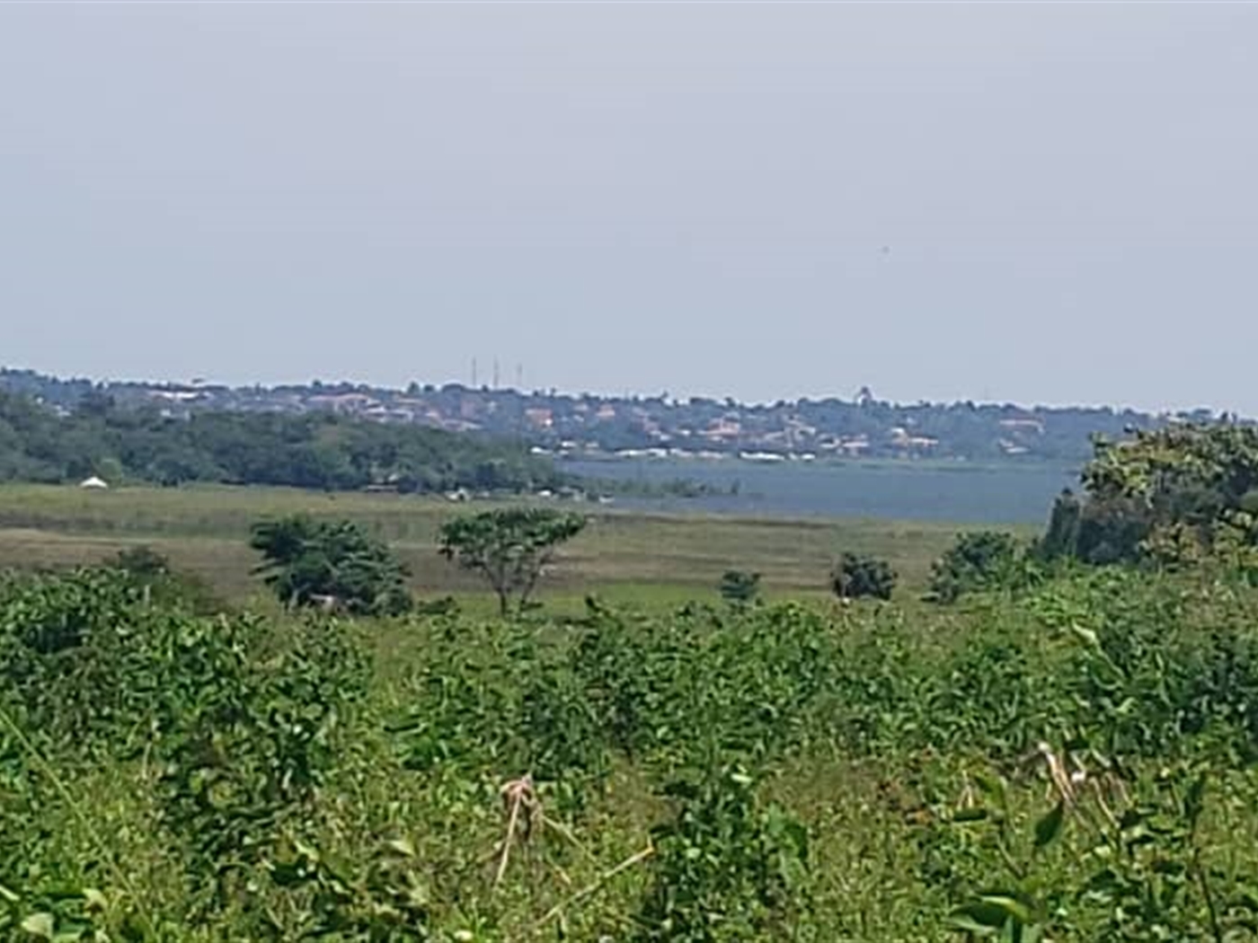 Residential land for sale in Kasanjje Wakiso Uganda