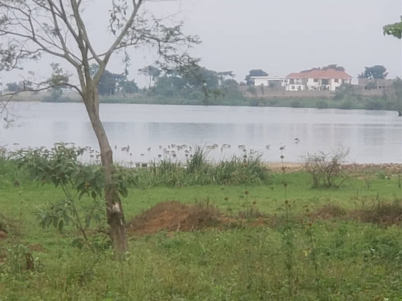 Residential land for sale in Kasanjje Wakiso Uganda