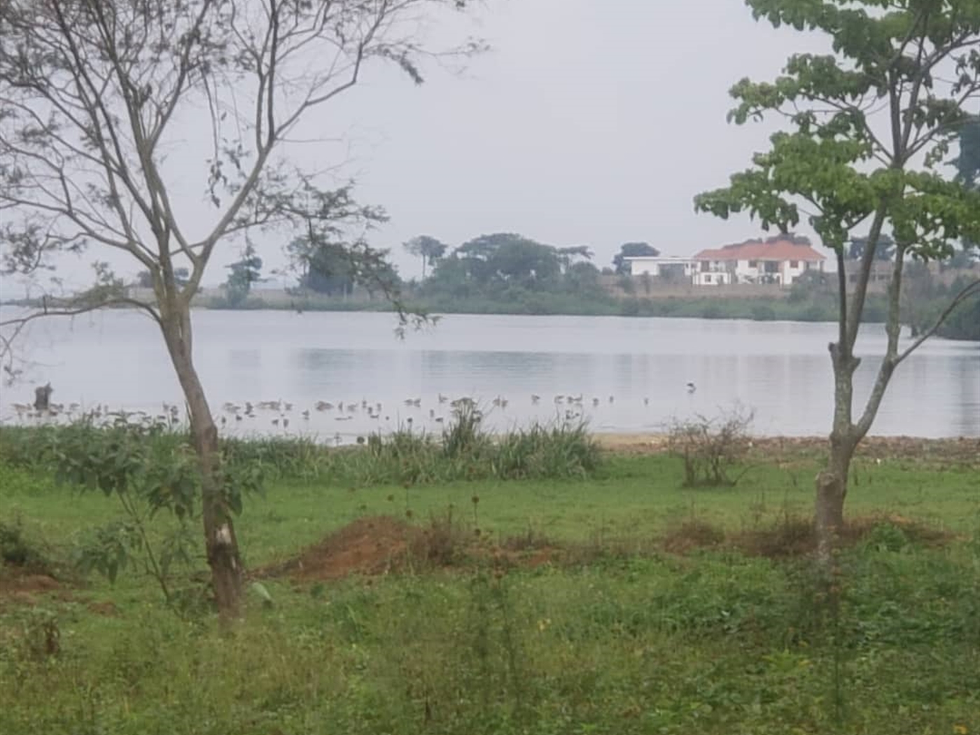 Residential land for sale in Kasanjje Wakiso Uganda