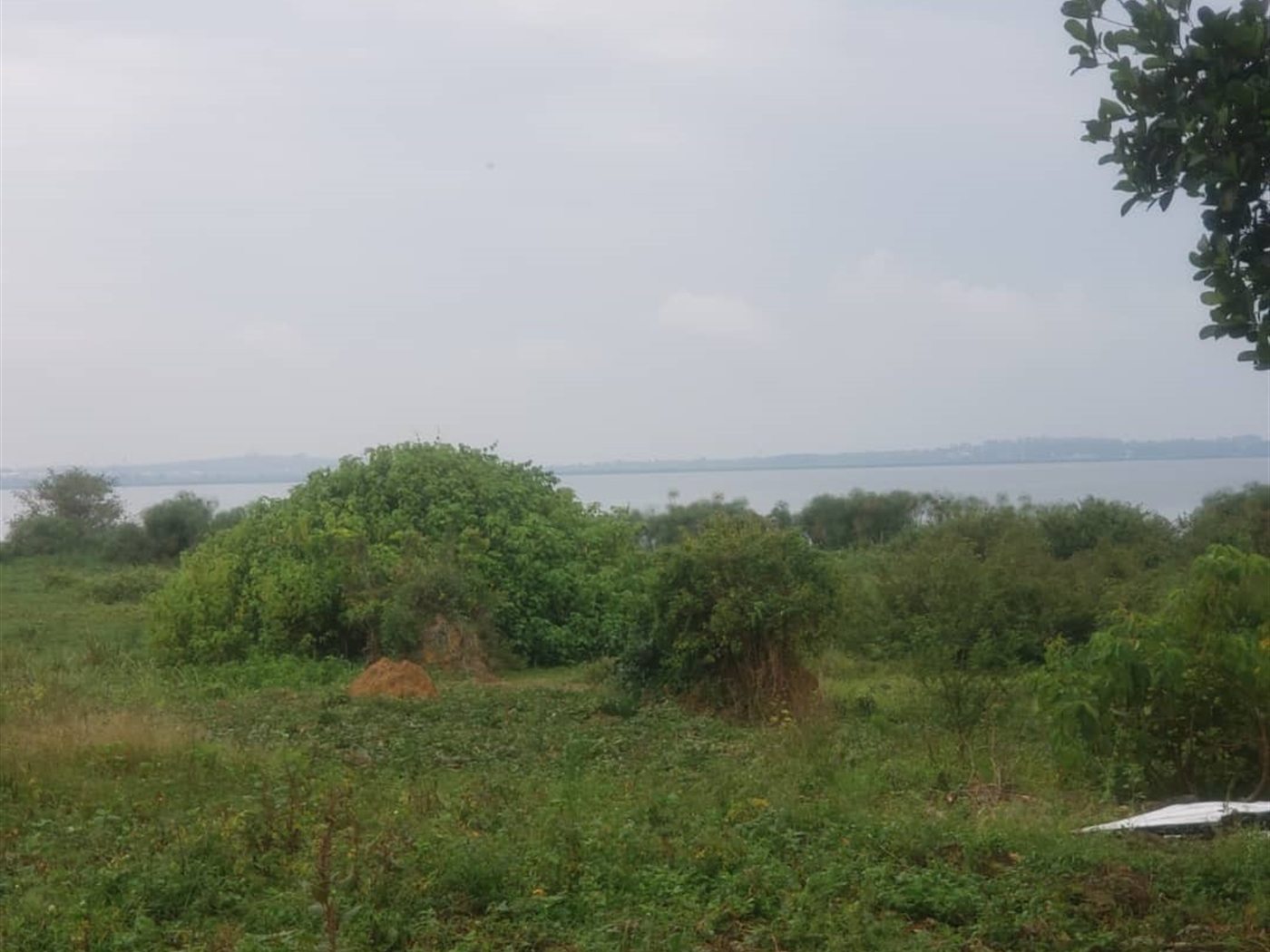 Residential land for sale in Kasanjje Wakiso Uganda