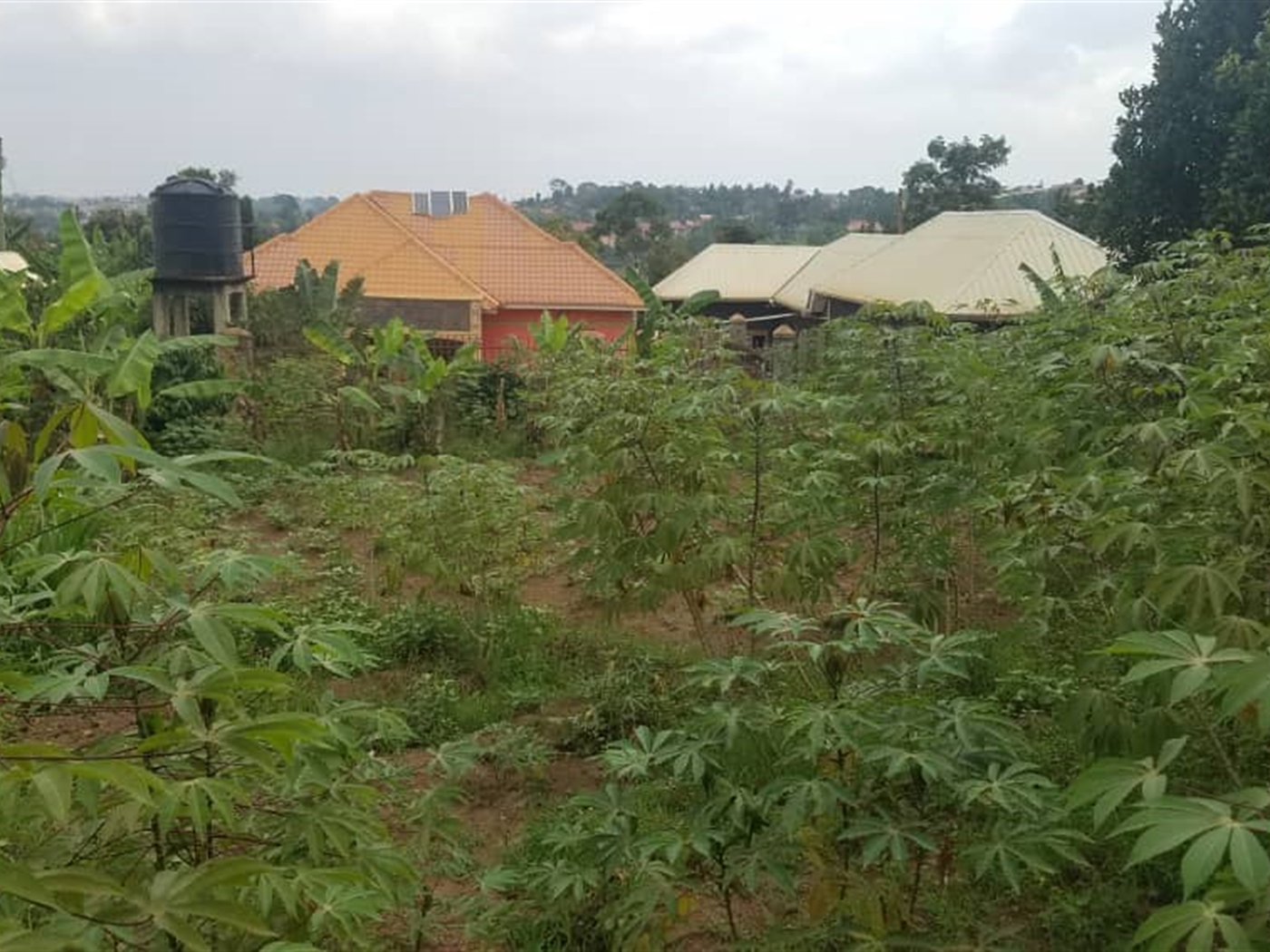 Residential land for sale in Kasangati Wakiso Uganda