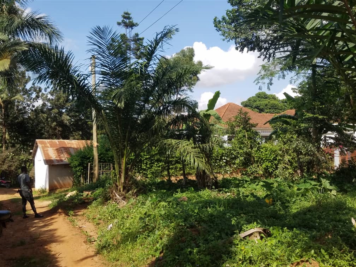 Residential land for sale in Kasangati Wakiso Uganda