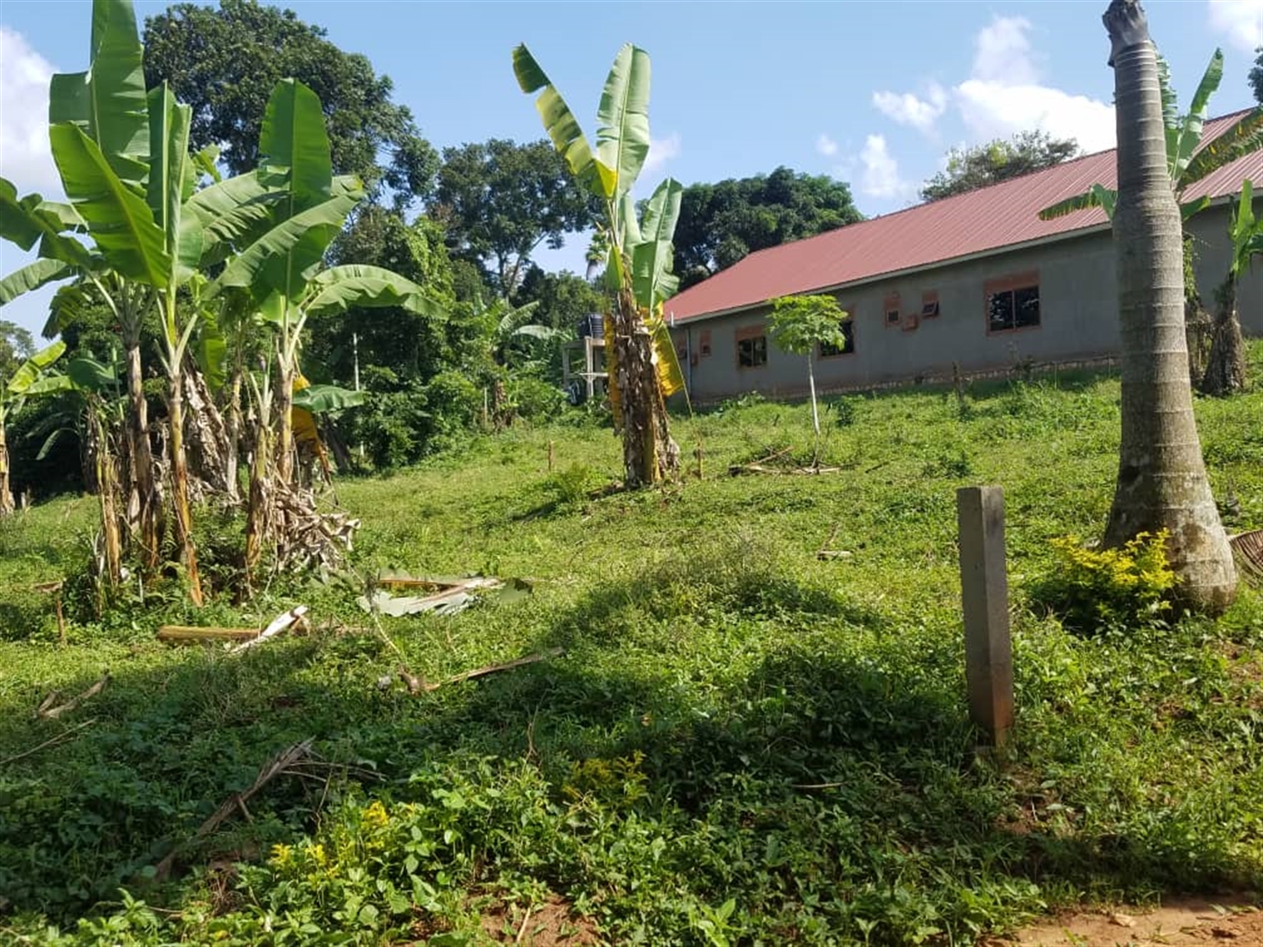 Residential land for sale in Kasangati Wakiso Uganda