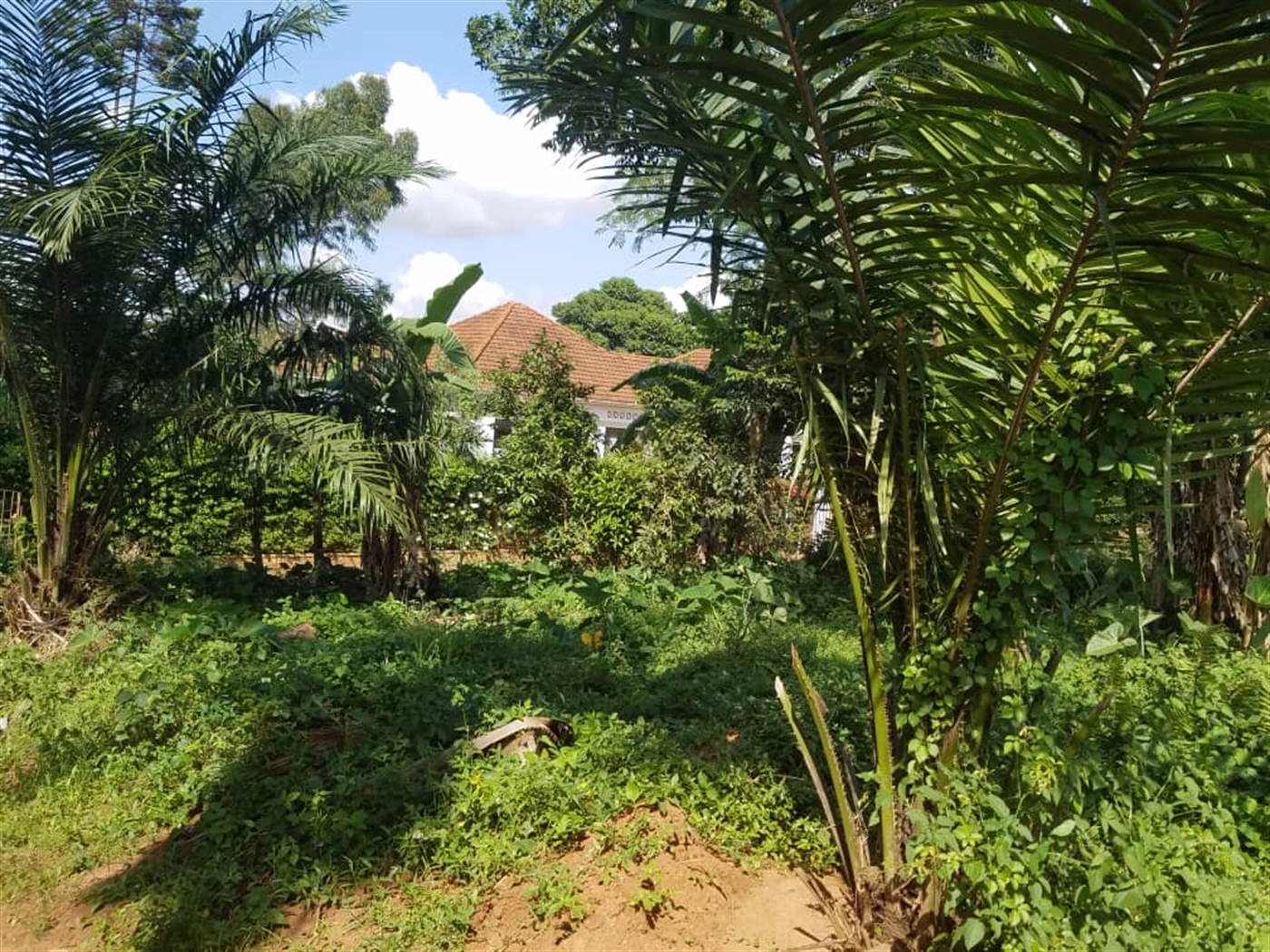 Residential land for sale in Kasangati Wakiso Uganda
