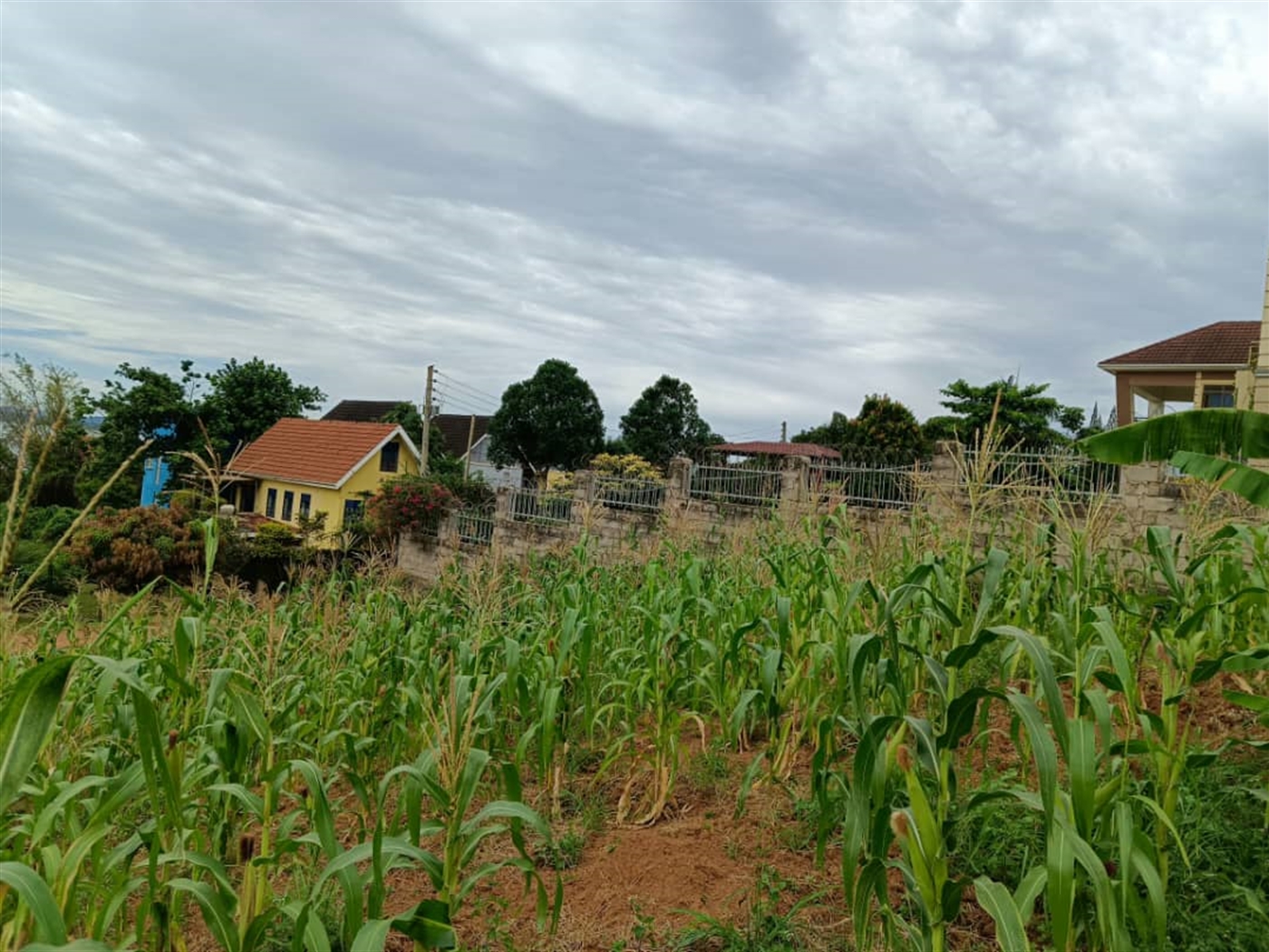 Commercial land for sale in Bbunga Kampala Uganda