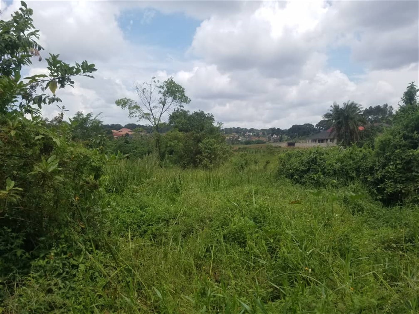 Residential land for sale in Kasangati Wakiso Uganda