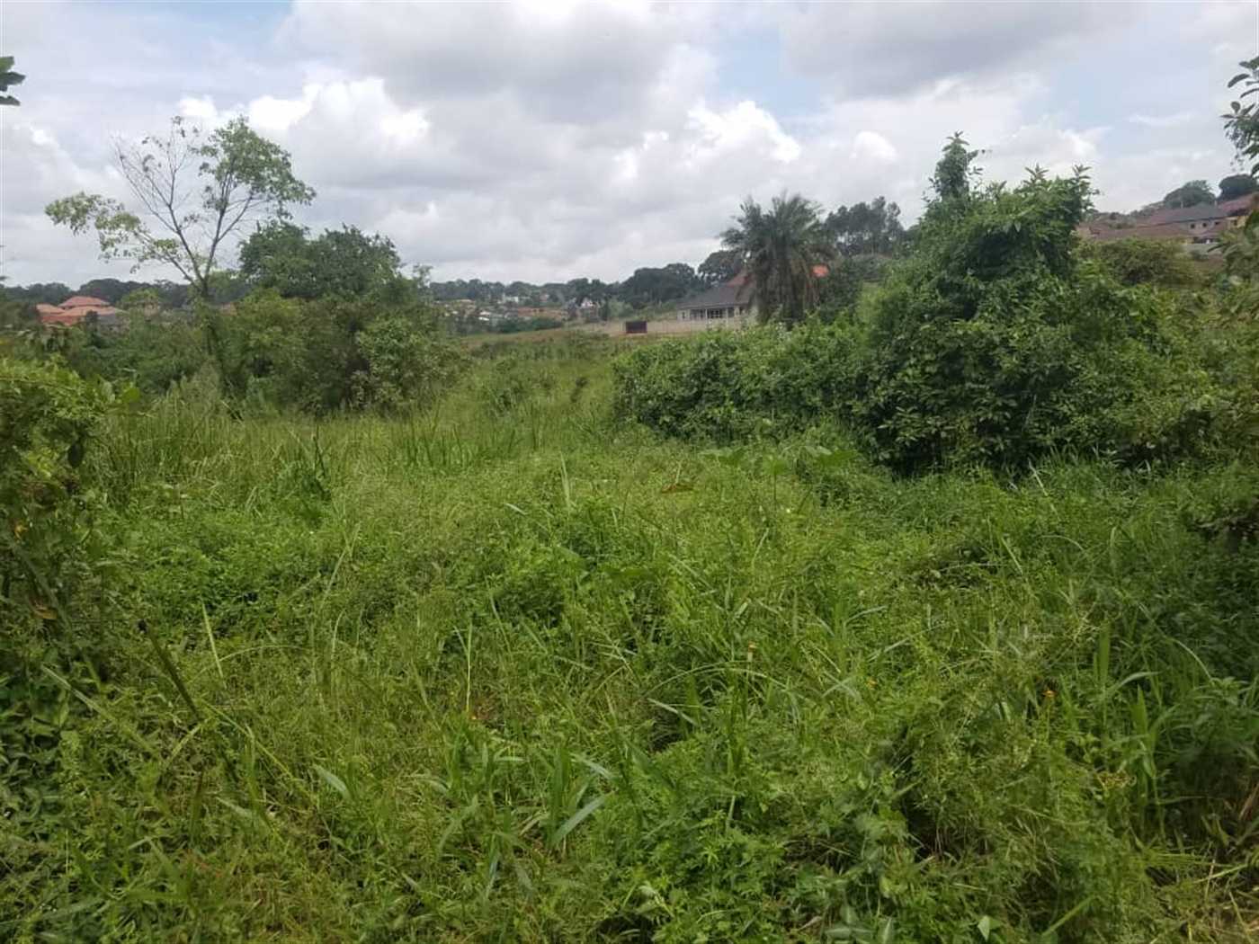 Residential land for sale in Kasangati Wakiso Uganda