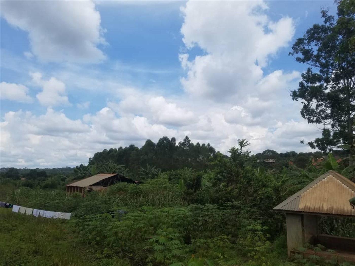 Residential land for sale in Kasangati Wakiso Uganda