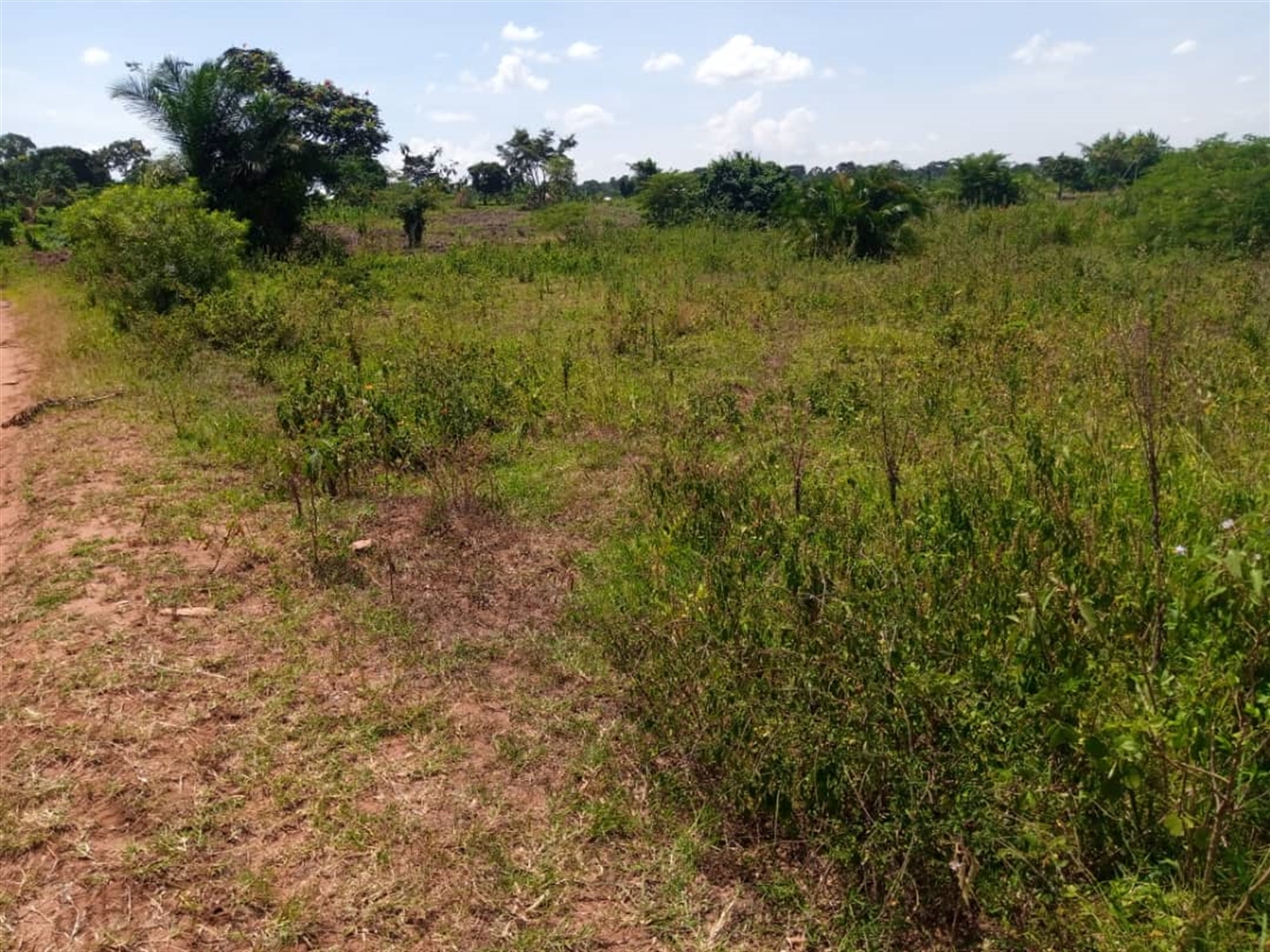 Residential land for sale in Janda Wakiso Uganda