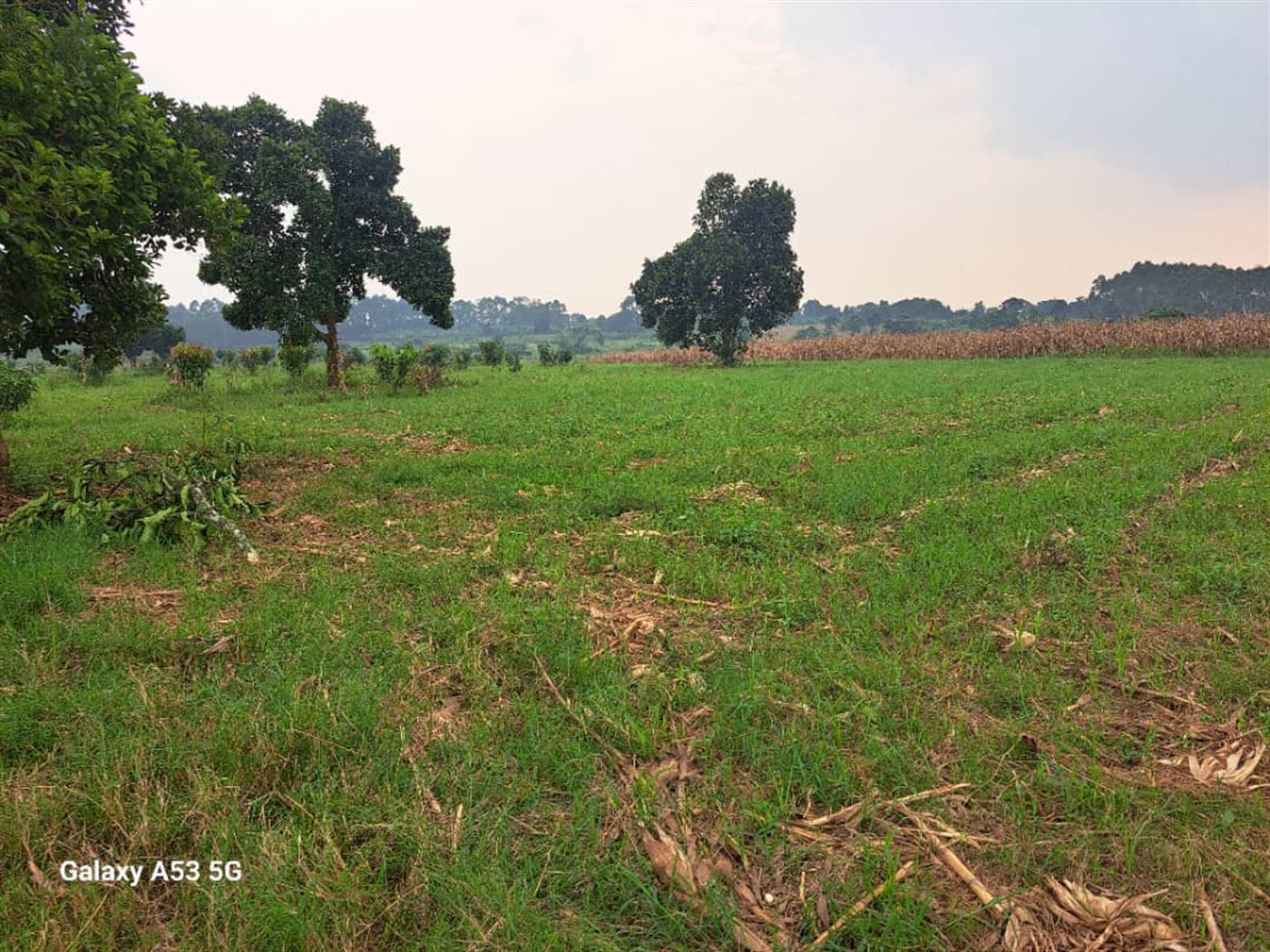 Residential land for sale in Janda Wakiso Uganda