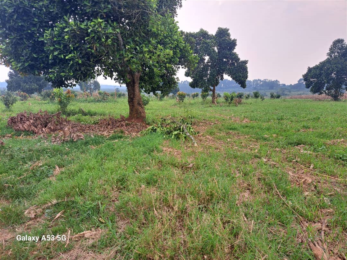 Residential land for sale in Janda Wakiso Uganda