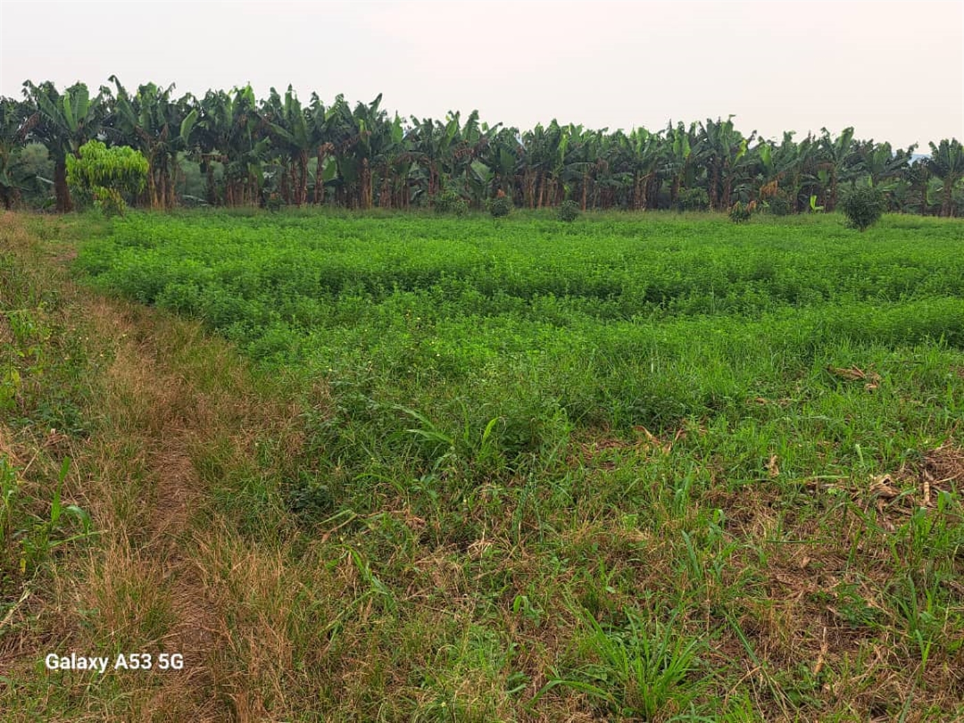 Residential land for sale in Janda Wakiso Uganda