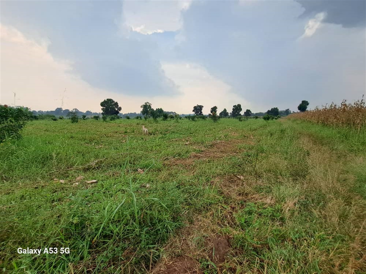 Residential land for sale in Janda Wakiso Uganda