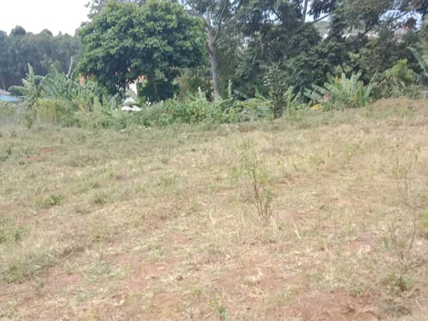 Residential land for sale in Janyi Wakiso Uganda