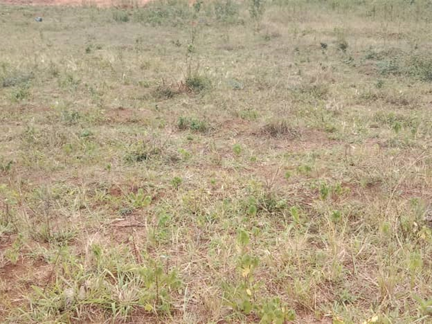 Residential land for sale in Janyi Wakiso Uganda