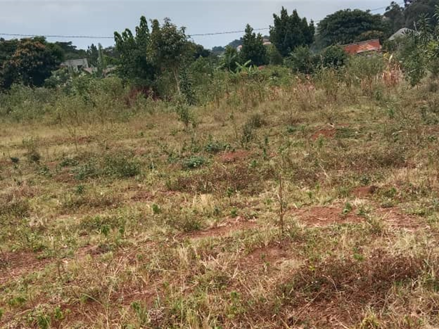  Residential land for sale in Janyi Wakiso Uganda