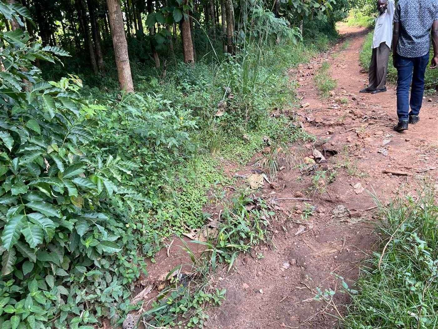 Commercial land for sale in Bombo Luweero Uganda