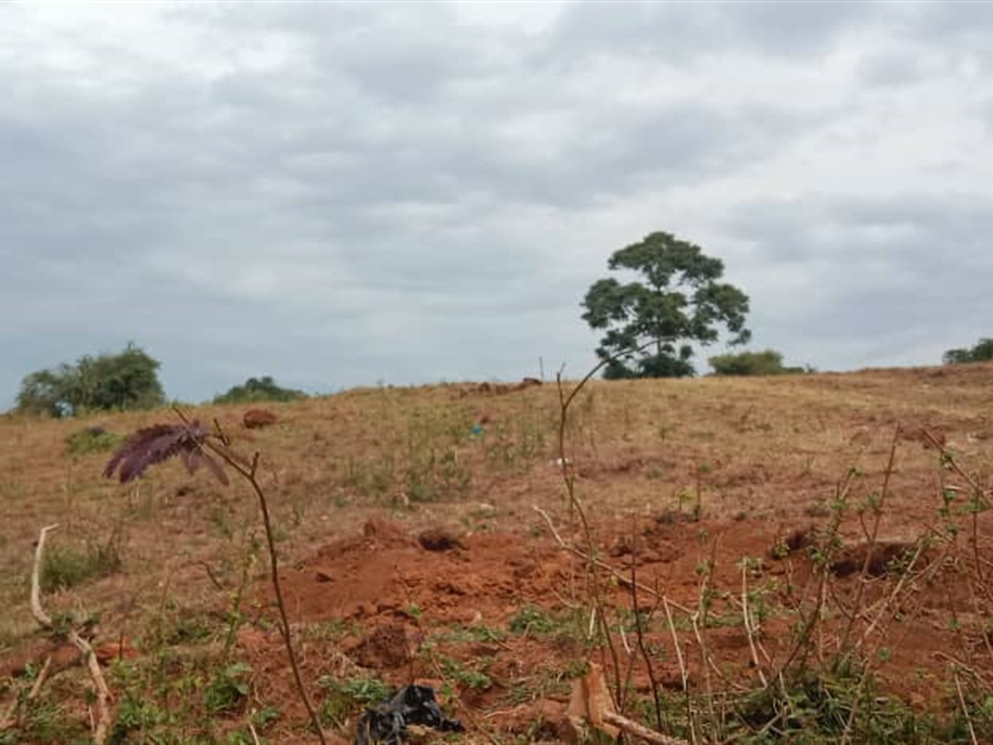 Residential land for sale in Janyi Wakiso Uganda