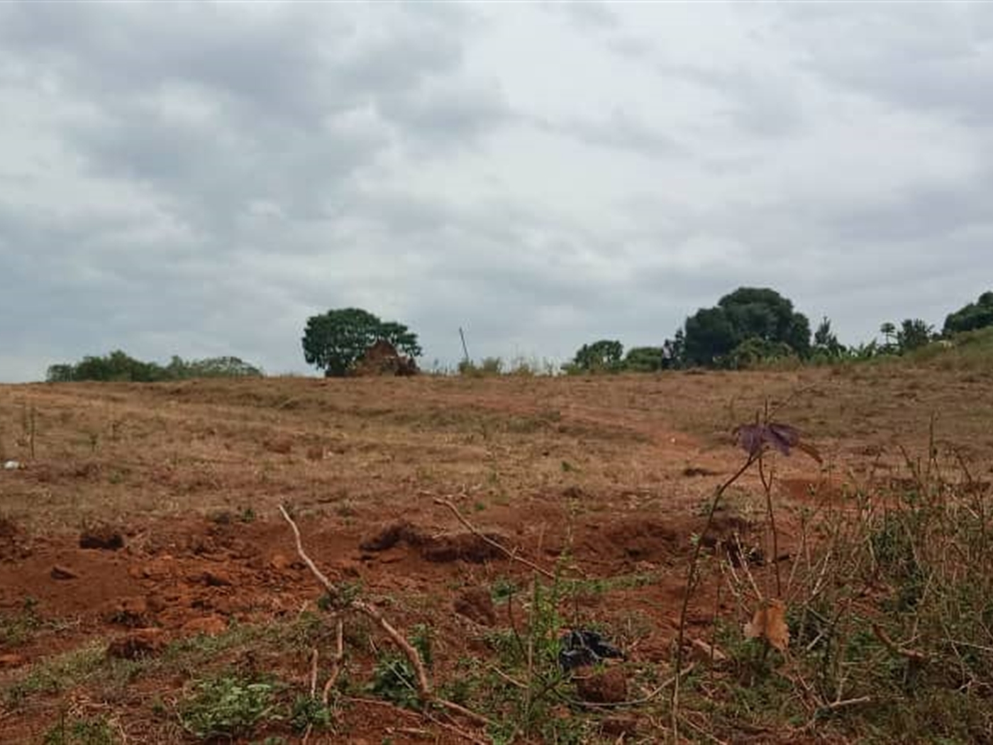Residential land for sale in Janyi Wakiso Uganda
