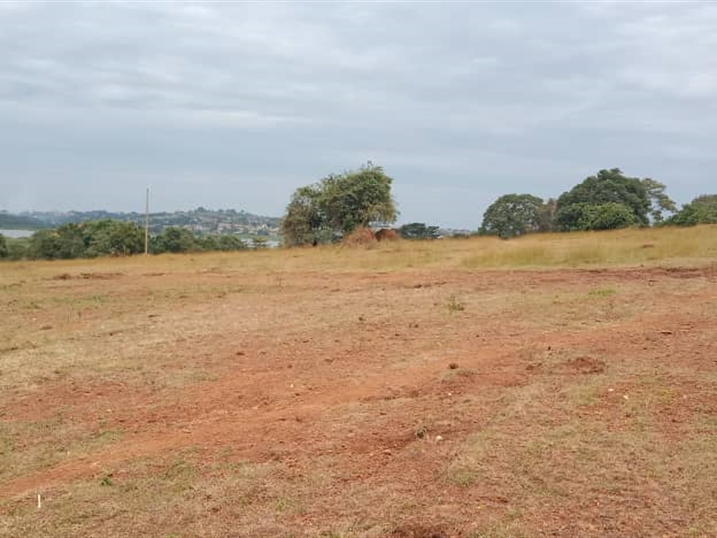 Residential land for sale in Janyi Wakiso Uganda