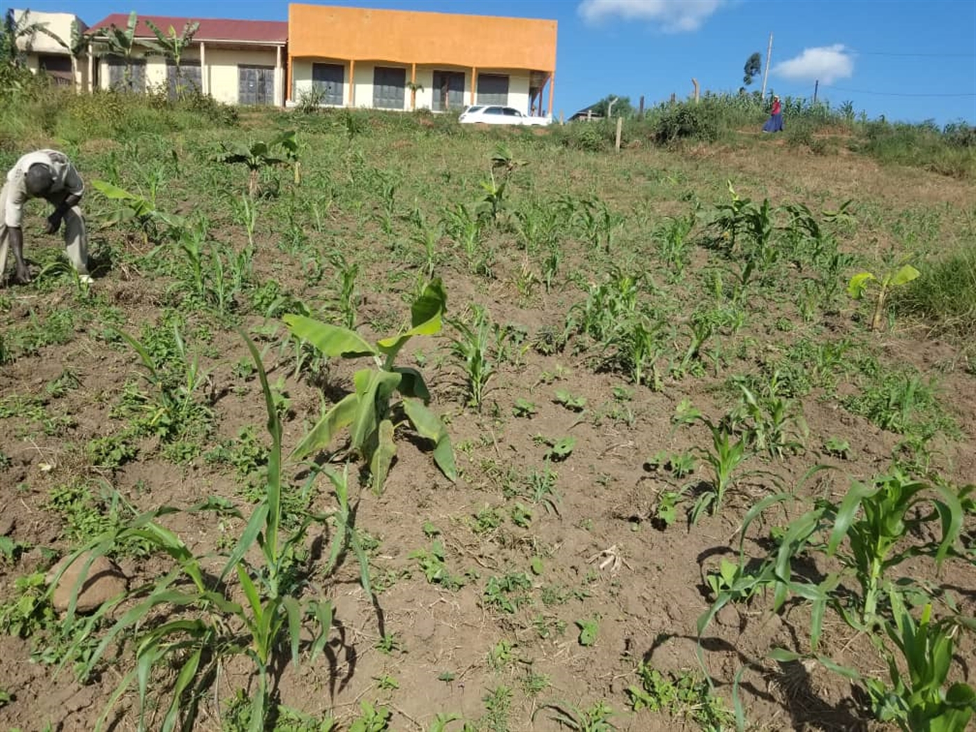 Commercial land for sale in Bujuuko Wakiso Uganda