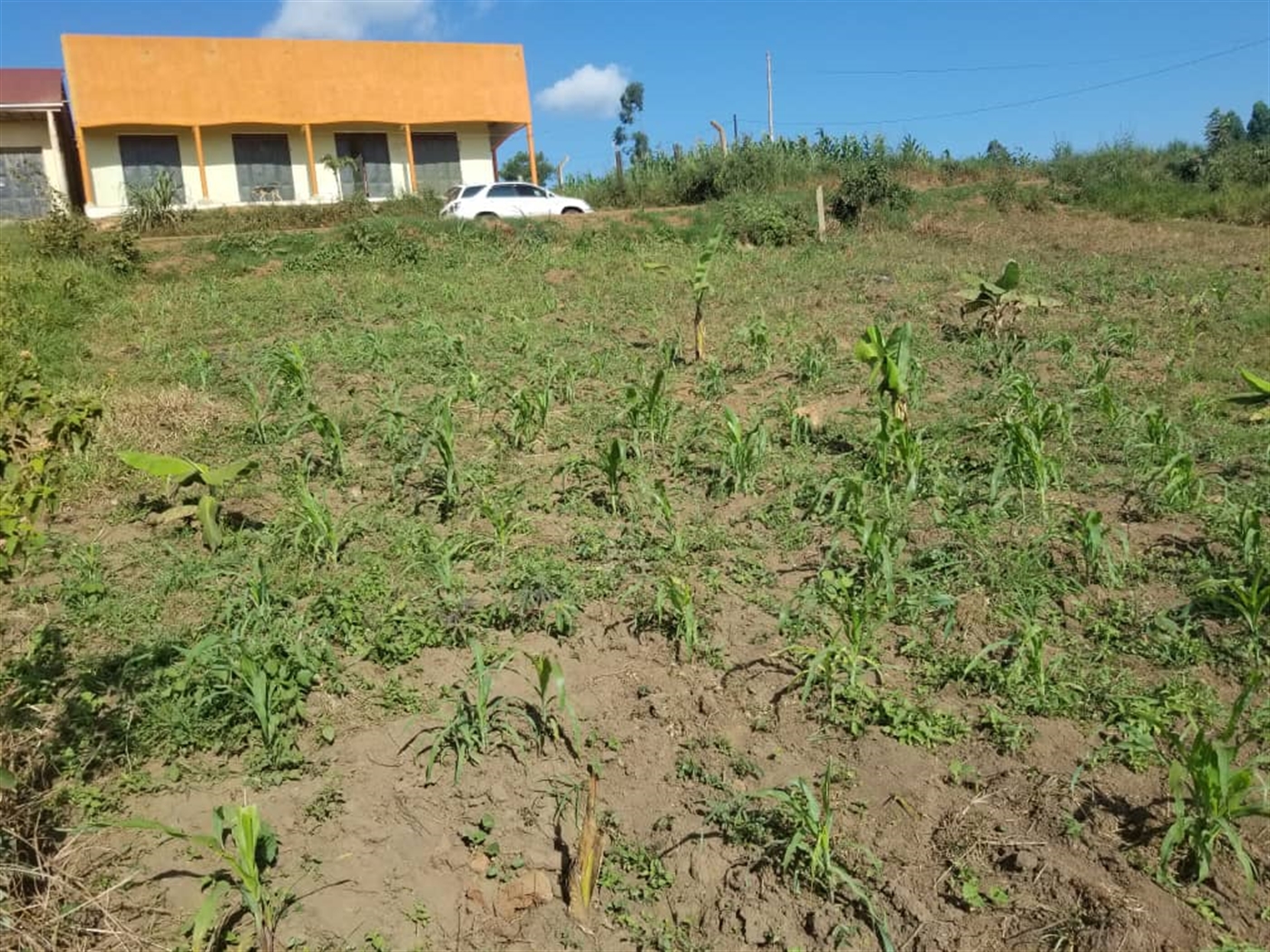 Commercial land for sale in Bujuuko Wakiso Uganda