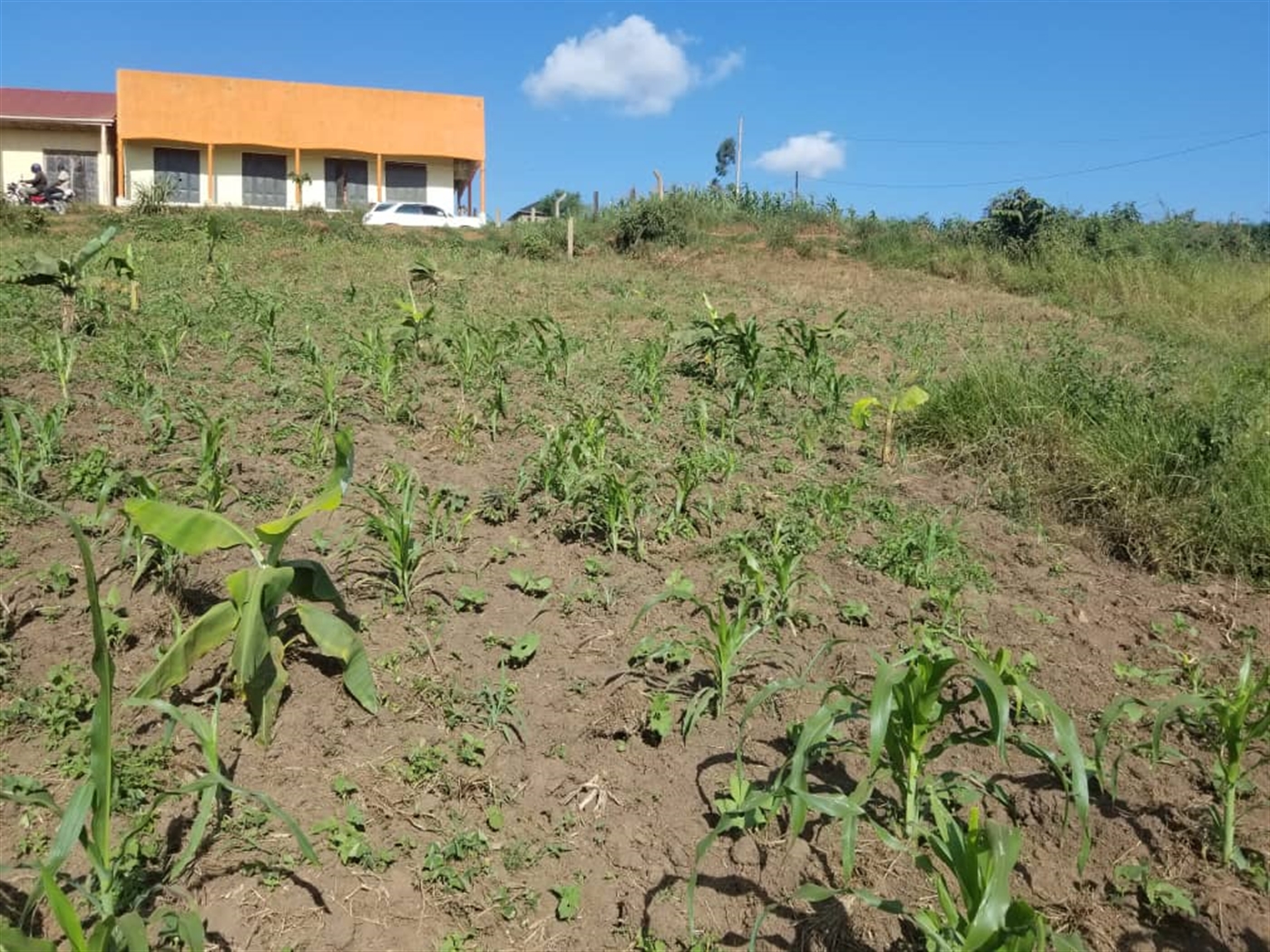 Commercial land for sale in Bujuuko Wakiso Uganda