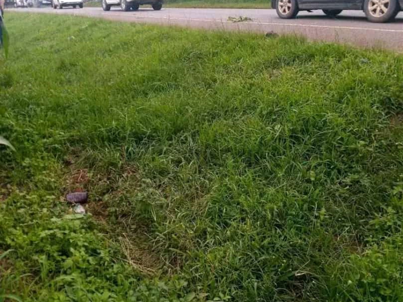 Residential land for sale in Buwalula Mityana Uganda