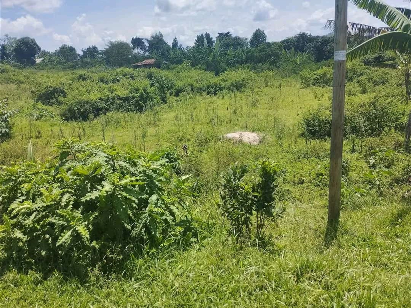 Residential land for sale in Buwalula Mityana Ugan...