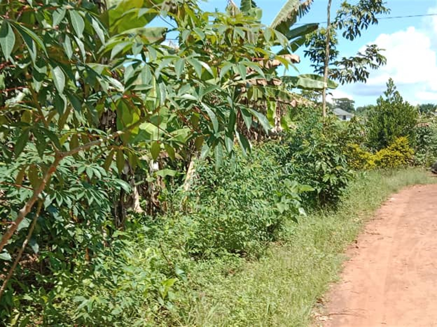Agricultural land for sale in Kasanjje Wakiso Uganda