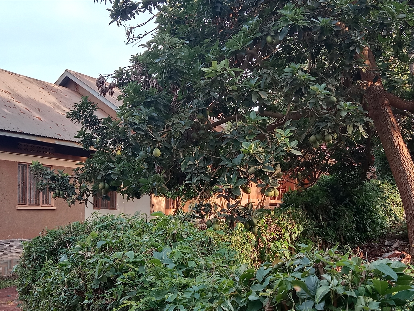 Commercial land for sale in Bukoto Kampala Uganda