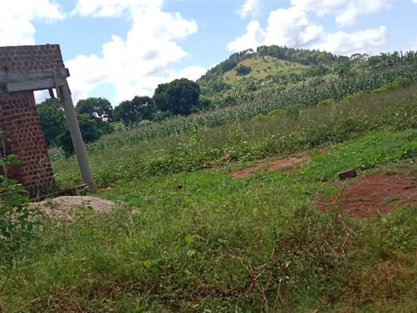 Agricultural land for sale in Kasanjje Wakiso Uganda