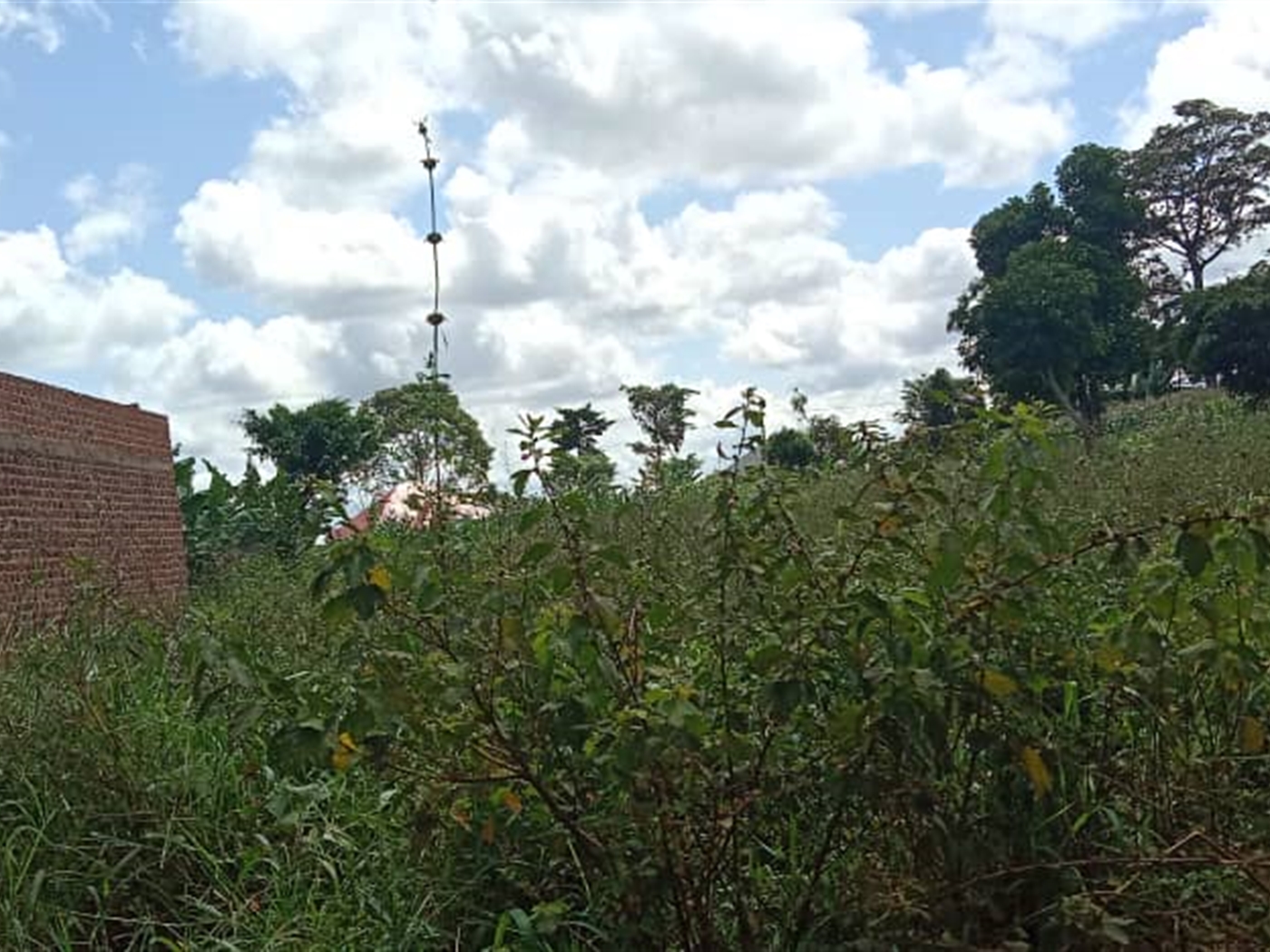 Agricultural land for sale in Kasanjje Wakiso Uganda
