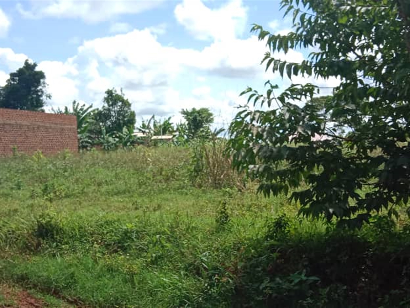Agricultural land for sale in Kasanjje Wakiso Uganda