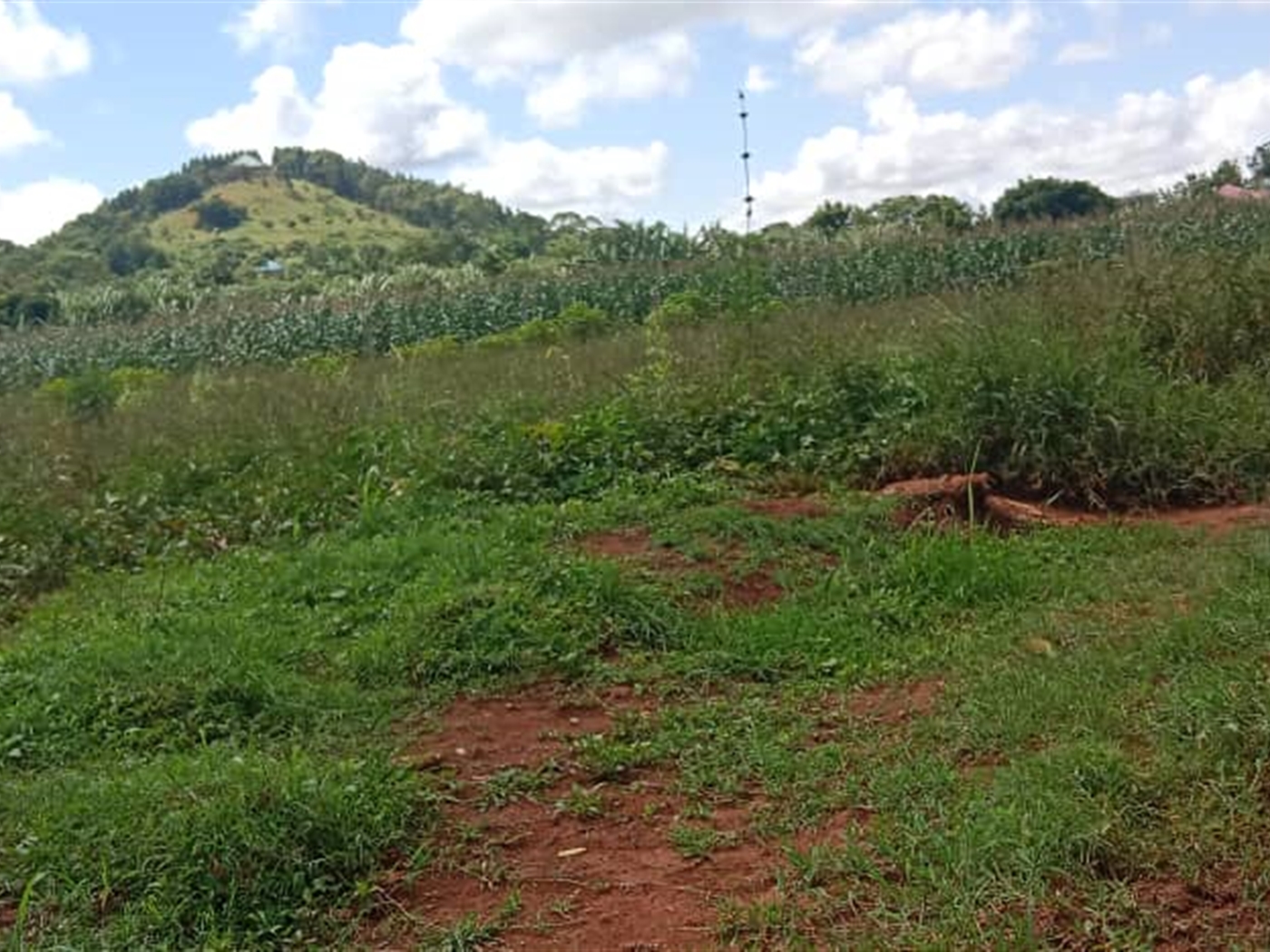Agricultural land for sale in Kasanjje Wakiso Uganda