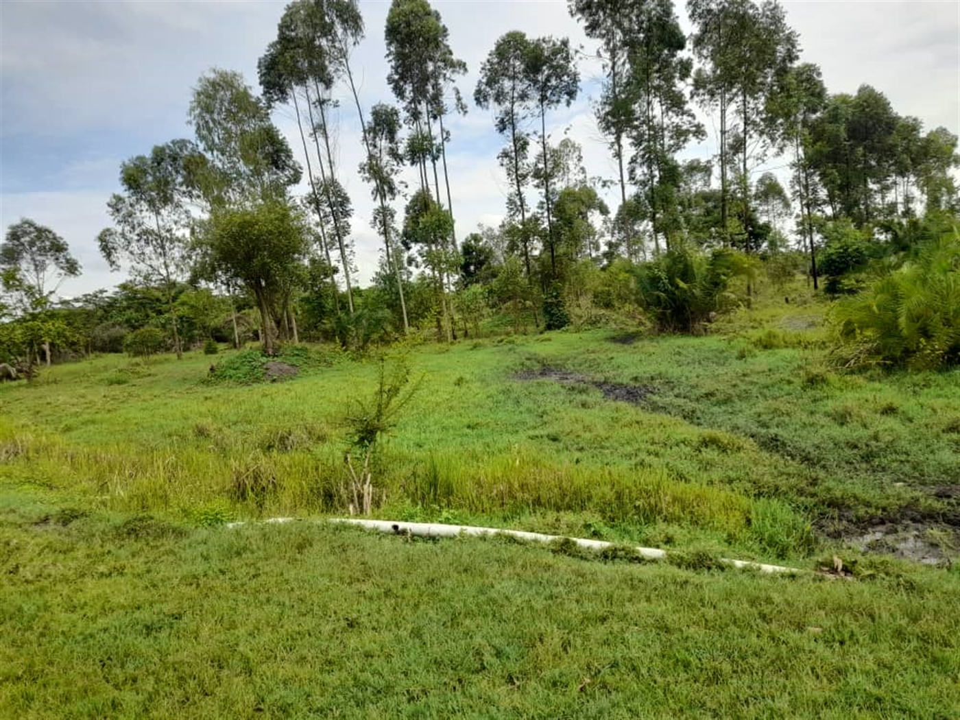  Agricultural land for sale in Kikube Luweero Ugan...