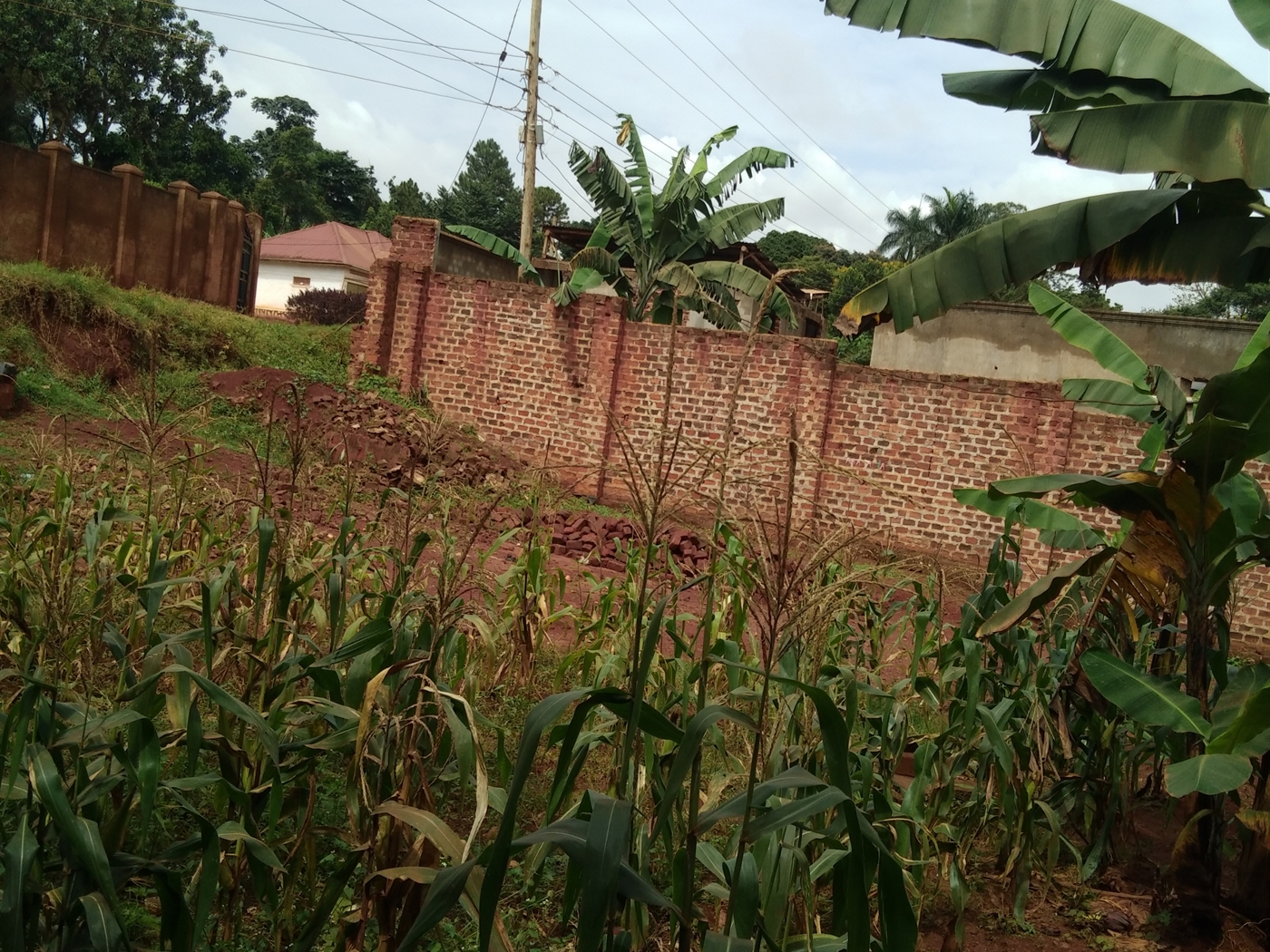 Commercial land for sale in Bulenga Wakiso Uganda