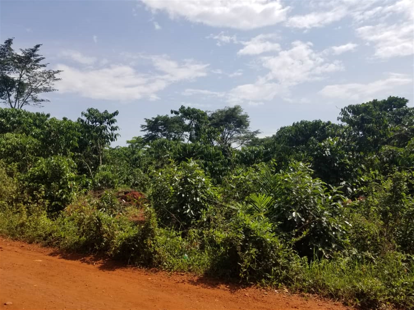 Agricultural land for sale in Wobulenzi Luweero Uganda