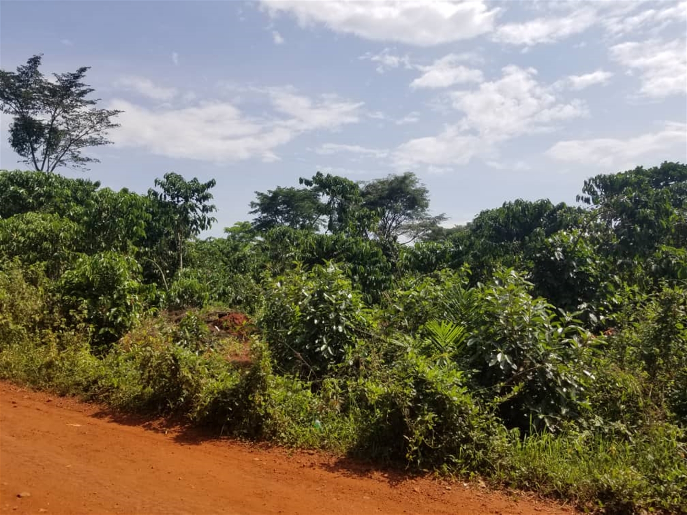 Agricultural land for sale in Wobulenzi Luweero Uganda