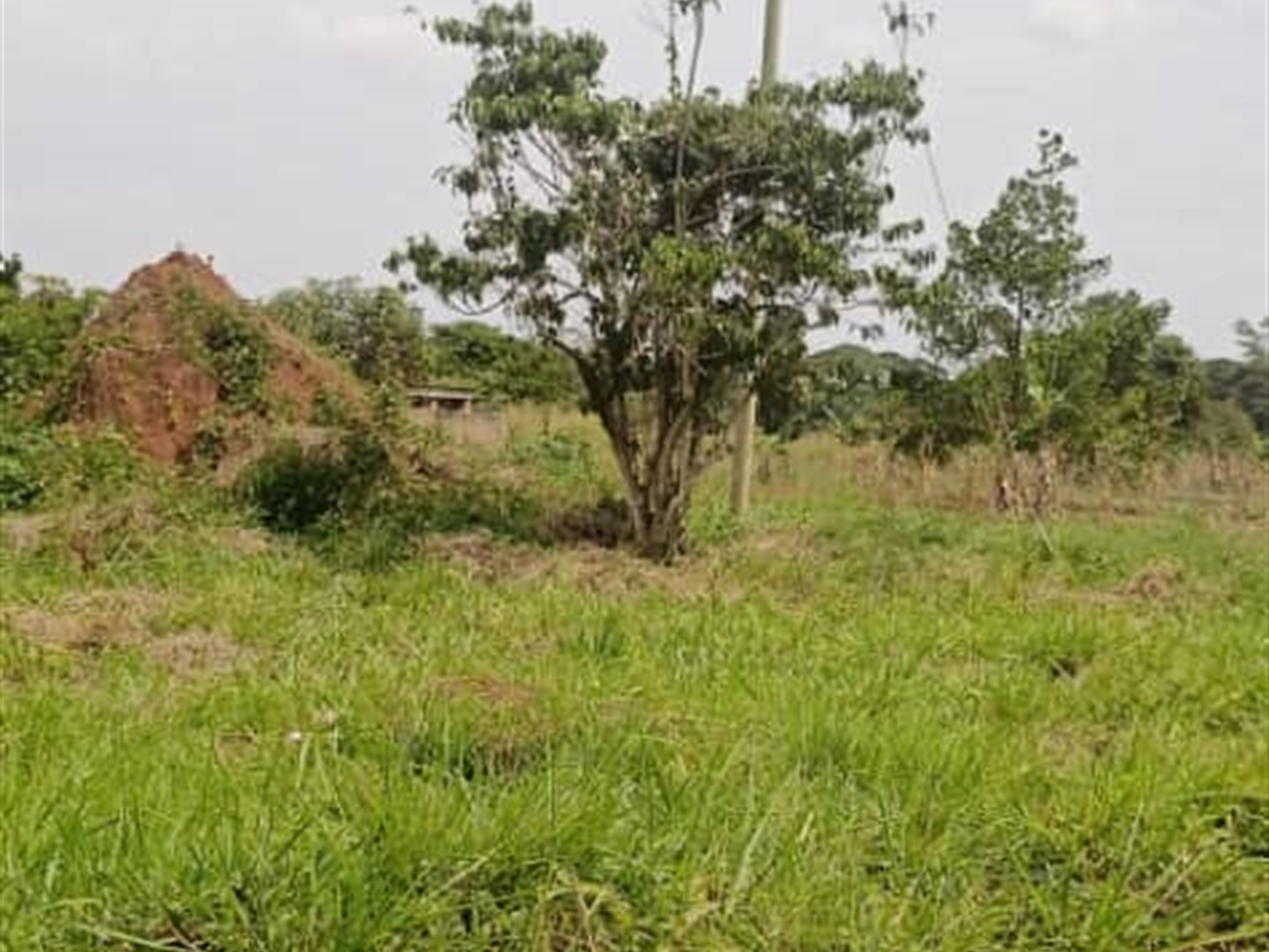 Agricultural land for sale in Ziloobwe Luweero Uganda