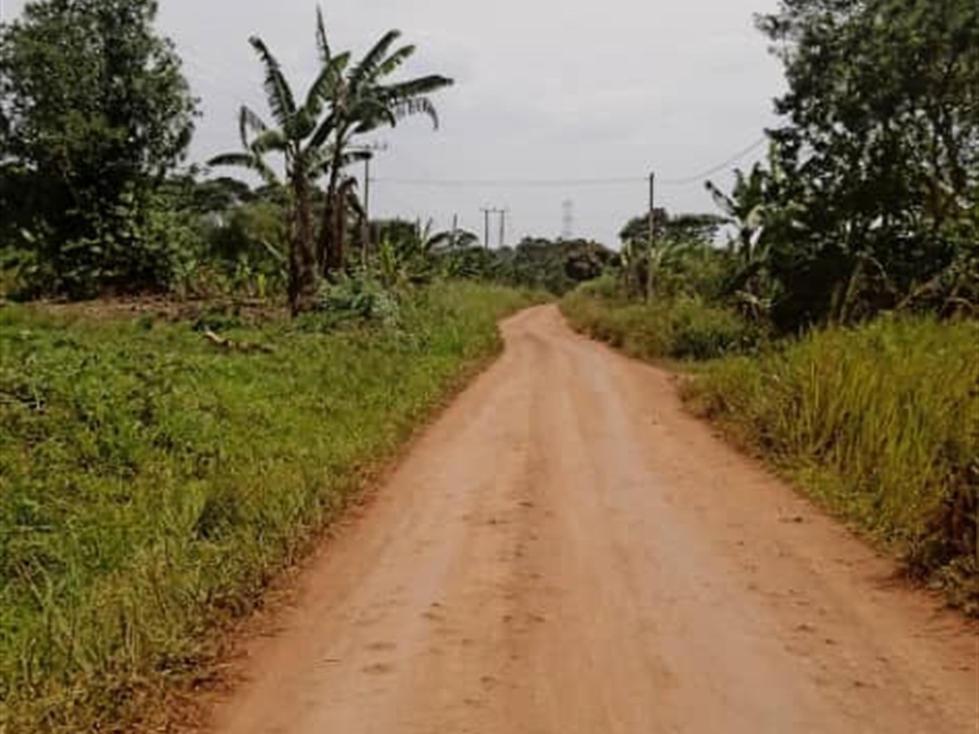 Agricultural land for sale in Ziloobwe Luweero Uganda