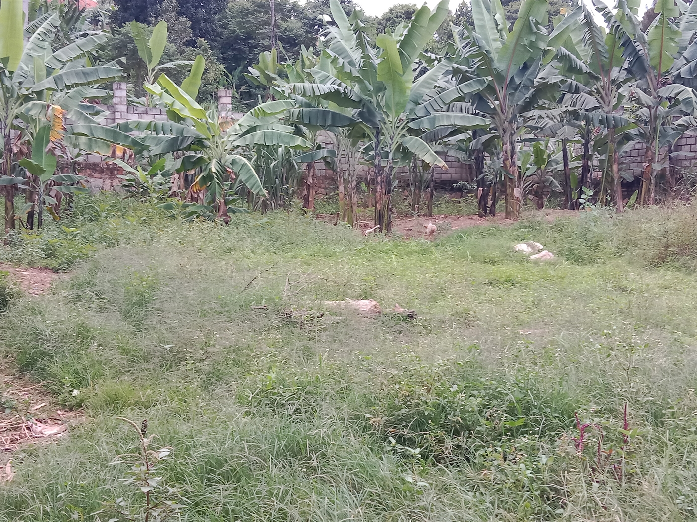 Multipurpose space for sale in Seguku Wakiso Ugand...